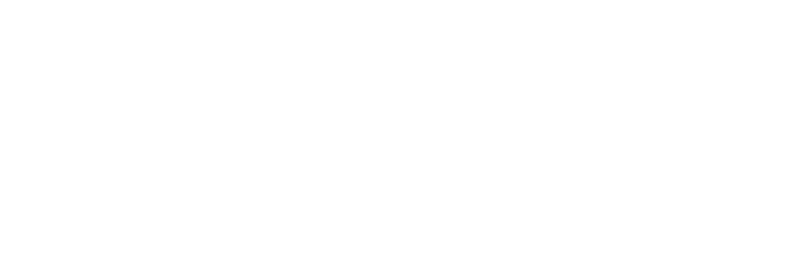 Logo Lemix